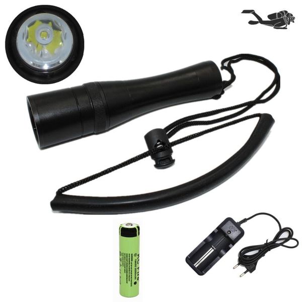 scuba diving 18650 dive light torch underwater powerful xm-l2 led waterproof lamp flashlights torches
scuba diving 18650 dive light torch underwater powerful xm-l2 led waterproof lamp flashlights torches