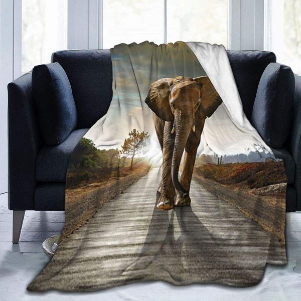 flannel blanket single elephant walking in a road lightweight cozy bed blanket soft throw blanket fits couch sofa suitable for
flannel blanket single elephant walking in a road lightweight cozy bed blanket soft throw blanket fits couch sofa suitable for