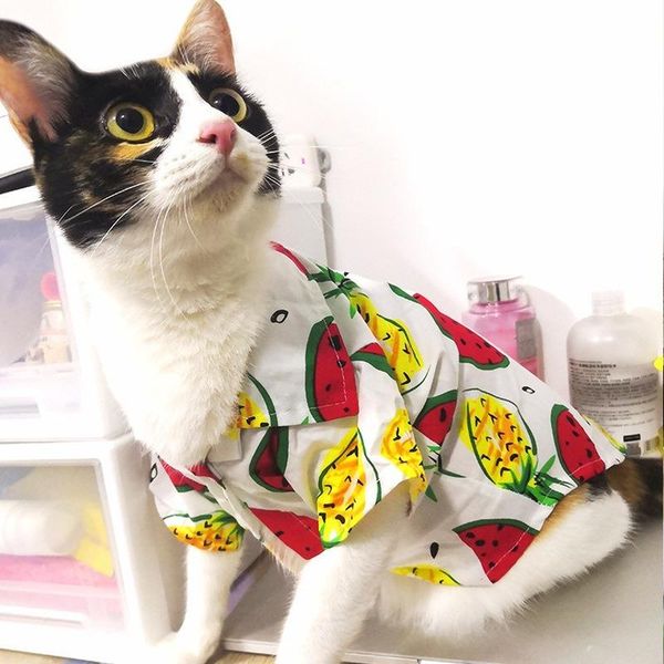 dog apparel t-shirt for dogs summer pet shirt hawaiian thin ventilated heat-dissipating small and medium cats
dog apparel t-shirt for dogs summer pet shirt hawaiian thin ventilated heat-dissipating small and medium cats