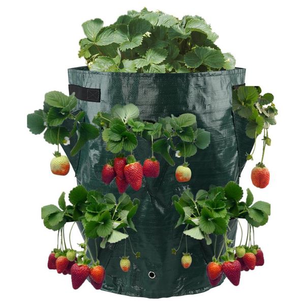 planters & pots 3 gallon hole garden planting grow bag strawberry vertical flower pouch root breathable vegetable round reusable pot planter
planters & pots 3 gallon hole garden planting grow bag strawberry vertical flower pouch root breathable vegetable round reusable pot planter