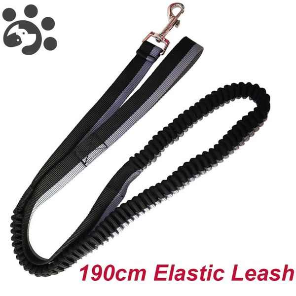 dog collars & leashes elastic leash adjustable pets for large small dogs harness outdoor running collar pet product mp0009
dog collars & leashes elastic leash adjustable pets for large small dogs harness outdoor running collar pet product mp0009