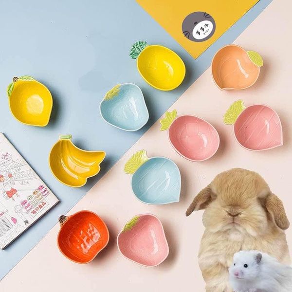 small animal supplies ceramic hamster bowl feeder golden bear chipmunk dwarf rat totoro feeding accessories
small animal supplies ceramic hamster bowl feeder golden bear chipmunk dwarf rat totoro feeding accessories
