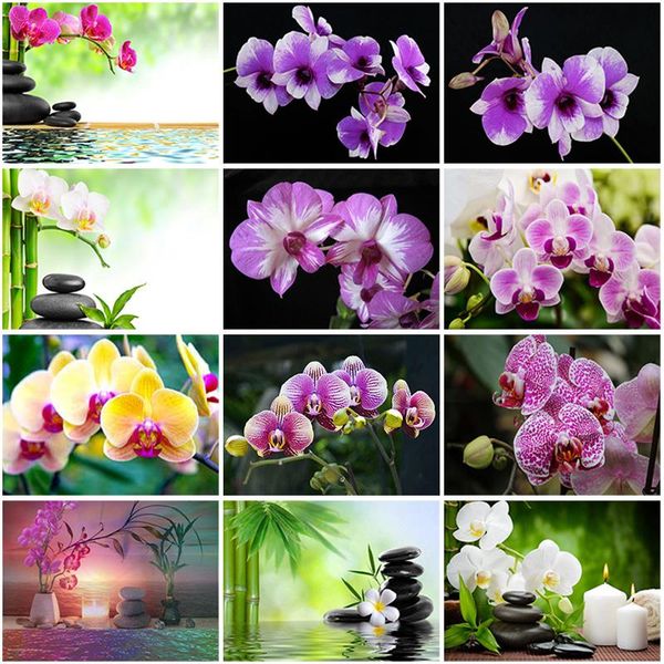 diamond painting 5d orchid cross stitch scenery mosaic flowers picture rhinestones bead embroidery handmade hobby gift
diamond painting 5d orchid cross stitch scenery mosaic flowers picture rhinestones bead embroidery handmade hobby gift
