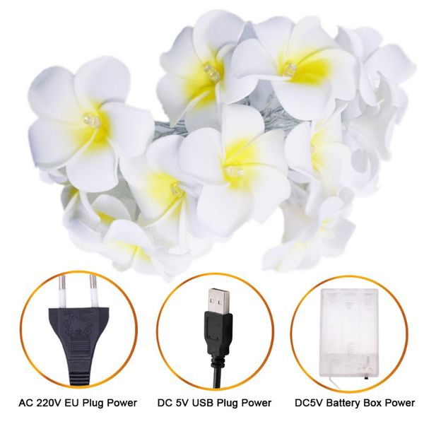strings frangipani flower string led lights white pink cloth floral power by battery/usb/eu holiday garland decoration 1.5m 3m 6m
strings frangipani flower string led lights white pink cloth floral power by battery/usb/eu holiday garland decoration 1.5m 3m 6m