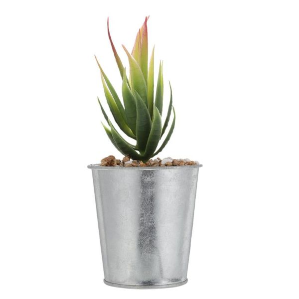 decorative flowers & wreaths household mini succulent bonsai adornment vivid potted plant decor
decorative flowers & wreaths household mini succulent bonsai adornment vivid potted plant decor