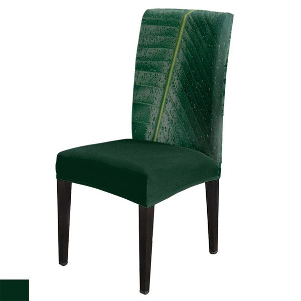 chair covers leaves water drops green dining home decor living room seat for chairs
chair covers leaves water drops green dining home decor living room seat for chairs