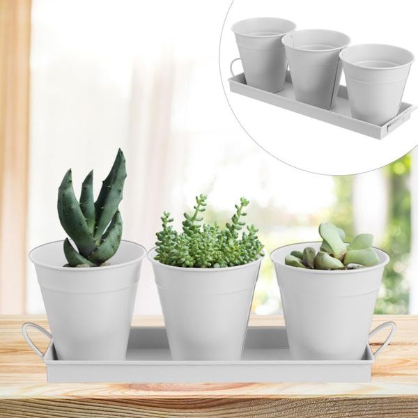 3pcs iron bucket planter with 1pc tray floral pots vintage garden plant holder buckets
3pcs iron bucket planter with 1pc tray floral pots vintage garden plant holder buckets
