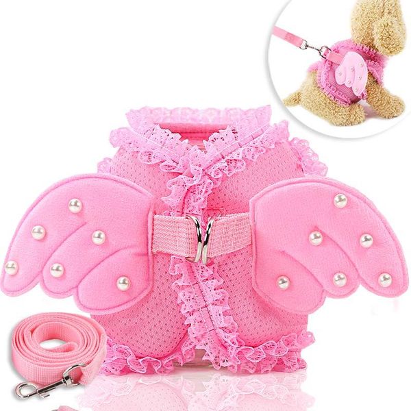 angel princess wing dog breast straptraction traction rope kitty kitten cat out to pull set pet chest strap puppy collars & leashes
angel princess wing dog breast straptraction traction rope kitty kitten cat out to pull set pet chest strap puppy collars & leashes