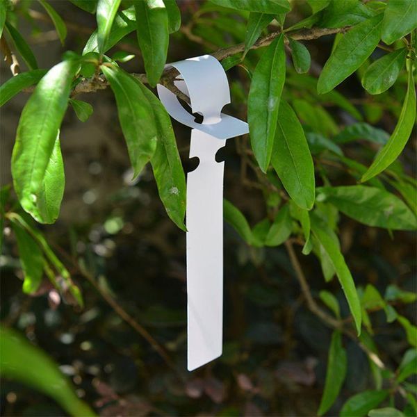 garden decorations 100 pcs white plastic plant tree tags nursery lables 2x20cm wrap around hanging stakes large g2ab
garden decorations 100 pcs white plastic plant tree tags nursery lables 2x20cm wrap around hanging stakes large g2ab