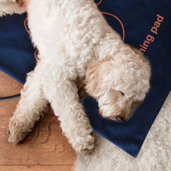 carpets 75w electric heating pad waterproof anti-scratch blanket pet mat bed cat dog winter warmer animals home office heated mats
carpets 75w electric heating pad waterproof anti-scratch blanket pet mat bed cat dog winter warmer animals home office heated mats