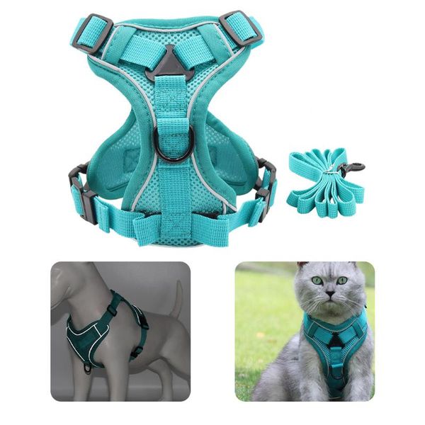 dog collars & leashes cat harness vest reflective breathable mesh belt with leash for puppy collar pet soft adjustable chest strap
dog collars & leashes cat harness vest reflective breathable mesh belt with leash for puppy collar pet soft adjustable chest strap