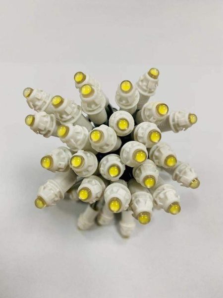 5000pcs led module string light 9mm dc12v ip67 waterproof digital pixel channel letters advertising lights modules
5000pcs led module string light 9mm dc12v ip67 waterproof digital pixel channel letters advertising lights modules