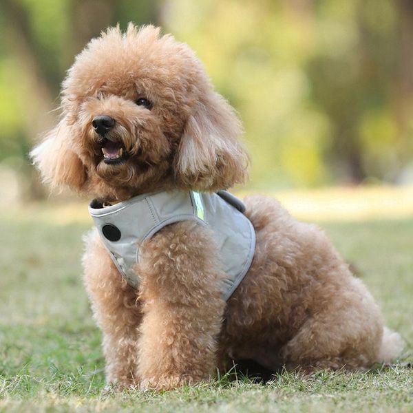 dog collars & leashes pet puppy reflective vest chest strap with traction rope harness durable leash and set
dog collars & leashes pet puppy reflective vest chest strap with traction rope harness durable leash and set