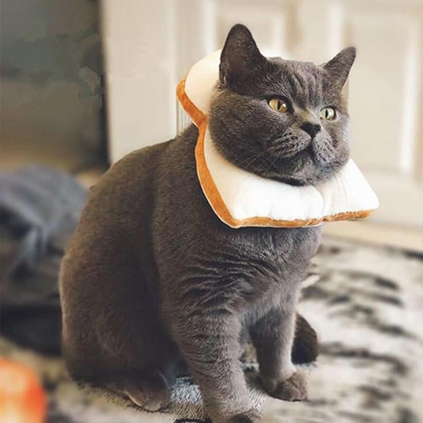 pet elizabeth circle puppy cat wound healing anti bite scratching recovery neck collar toast bread shape collars & leads
pet elizabeth circle puppy cat wound healing anti bite scratching recovery neck collar toast bread shape collars & leads