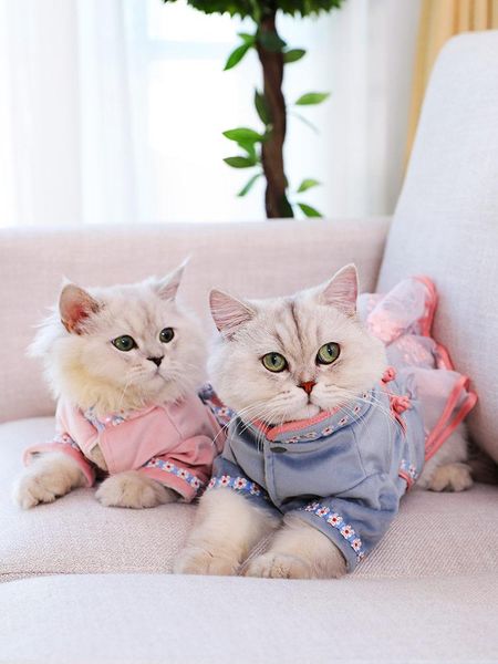 cat costumes windproof wedding dresses animals clothes suit pet cats costume christmas outfit ukienka dla kota pets party oo50qz
cat costumes windproof wedding dresses animals clothes suit pet cats costume christmas outfit ukienka dla kota pets party oo50qz