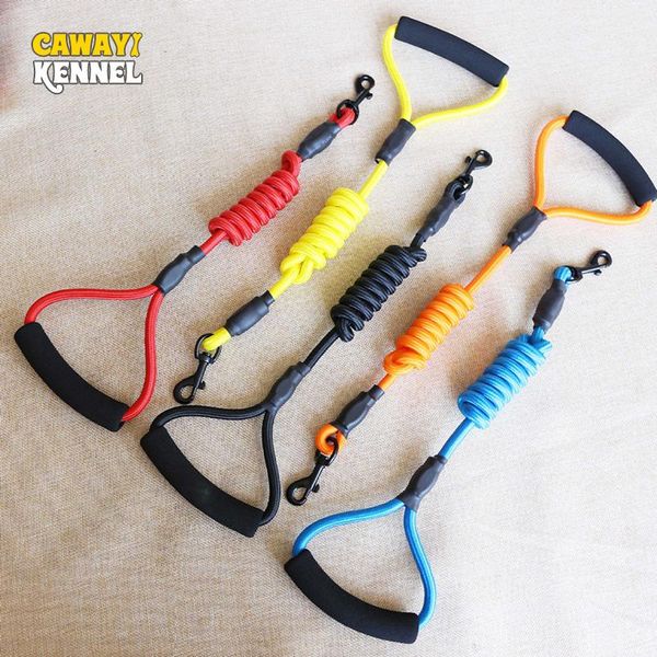 dog collars & leashes for pets dogs small puppy pet adjustable leash large harness walking running training lead
dog collars & leashes for pets dogs small puppy pet adjustable leash large harness walking running training lead