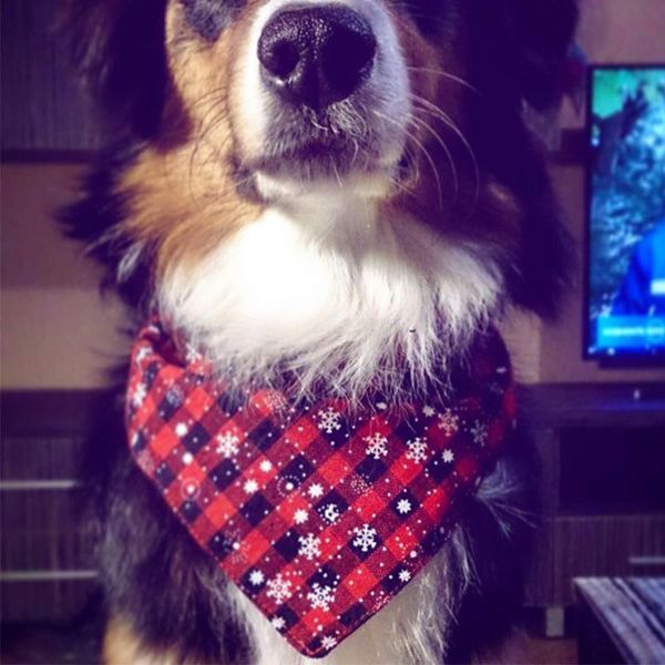 dog apparel pet supplies cats and dogs triangle bandana christmas snowflake saliva towel scarf cat
dog apparel pet supplies cats and dogs triangle bandana christmas snowflake saliva towel scarf cat
