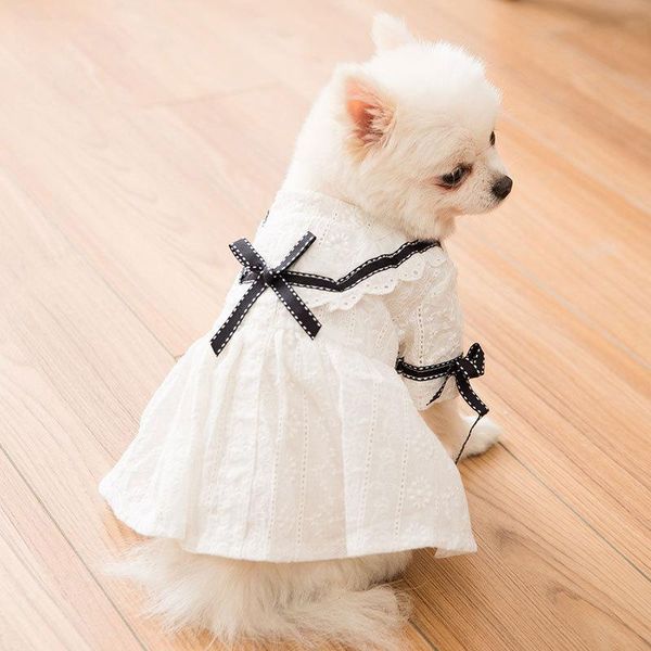 dog apparel princess style lace design skirt 2021 est spring and summer thin breathable clothes for small pet dress
dog apparel princess style lace design skirt 2021 est spring and summer thin breathable clothes for small pet dress