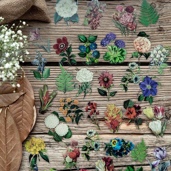 gift wrap 30 sheets graffiti stickers scrapbooking decorate diy material package school supplies nice plant series sticker
gift wrap 30 sheets graffiti stickers scrapbooking decorate diy material package school supplies nice plant series sticker