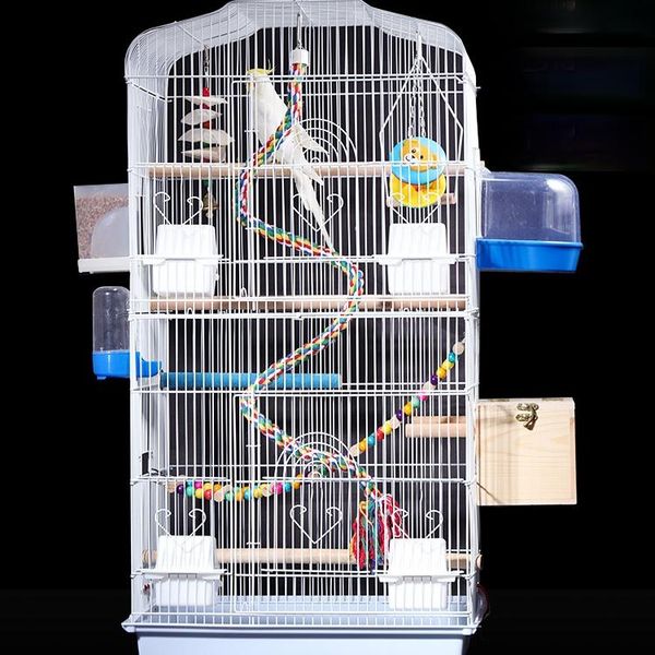 bird cages large breeding villa cage parrot multifunctional aviary metal various packages oiseaux pet supplies ef50nl
bird cages large breeding villa cage parrot multifunctional aviary metal various packages oiseaux pet supplies ef50nl
