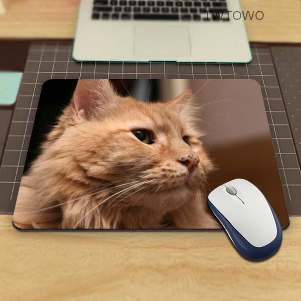 mouse pads & wrist rests maine coon cat 18*22cm and 21*26cm pad mat comfort mice
mouse pads & wrist rests maine coon cat 18*22cm and 21*26cm pad mat comfort mice