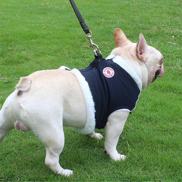 dog adjustable harness pet large walk out vest for medium chest strap pets accessories collars & leashes
dog adjustable harness pet large walk out vest for medium chest strap pets accessories collars & leashes
