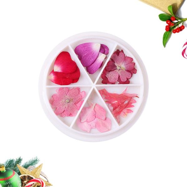 nail art dry petals manicure charm dried flower spring floral nails decals stickers decorations diy accessories set(01), Silver;gold 
nail art dry petals manicure charm dried flower spring floral nails decals stickers decorations diy accessories set(01), Silver;gold