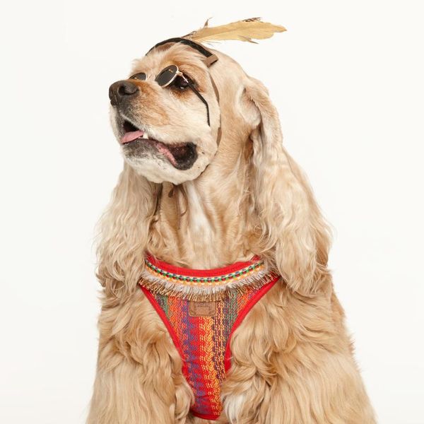 modern hippie dog harness lightweight breathable vest-type teddy chihuahua schnauzer small and mid accessories collars & leashes
modern hippie dog harness lightweight breathable vest-type teddy chihuahua schnauzer small and mid accessories collars & leashes