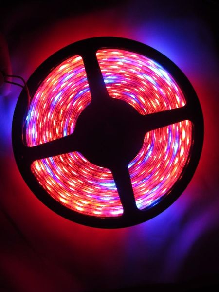5m led grow strip light 4:1 5:1 7:1 8:1 60leds/m 660nm 460nm aquarium greenhouse hydroponic 12v strips
5m led grow strip light 4:1 5:1 7:1 8:1 60leds/m 660nm 460nm aquarium greenhouse hydroponic 12v strips
