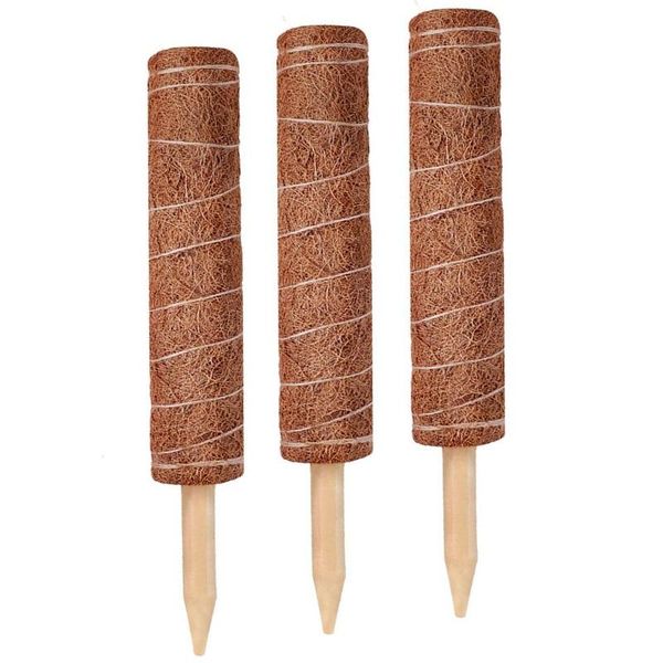 other garden supplies moss stick - 3pack 17.7 inch coir totem pole for plant support
other garden supplies moss stick - 3pack 17.7 inch coir totem pole for plant support