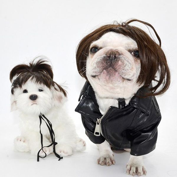 cat costumes pet halloween headdresses dog cross-dressing hair set pography funny clothes for costume wig prank supplies
cat costumes pet halloween headdresses dog cross-dressing hair set pography funny clothes for costume wig prank supplies