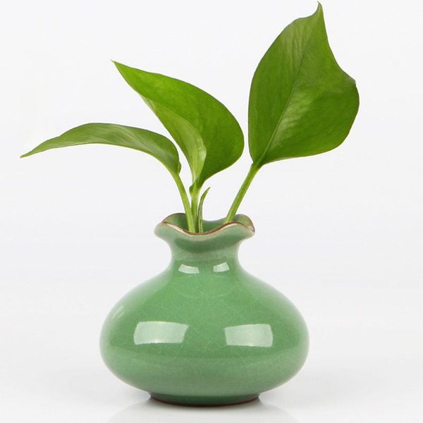 vases chinese mini creative celadon ceramic flower vase home decoration modern plant holder hydroponics device room decor
vases chinese mini creative celadon ceramic flower vase home decoration modern plant holder hydroponics device room decor