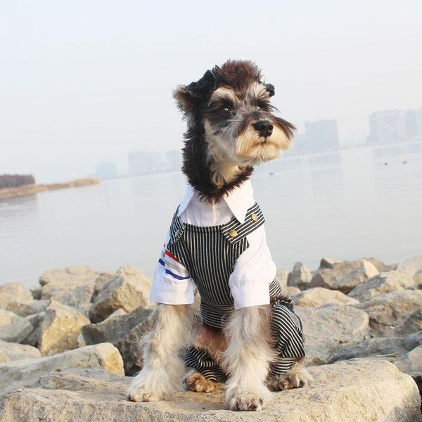 dog apparel puppy warm coat winter sweater for knitted dogs summer cat clothing ropa para mascotas jj60gwy
dog apparel puppy warm coat winter sweater for knitted dogs summer cat clothing ropa para mascotas jj60gwy
