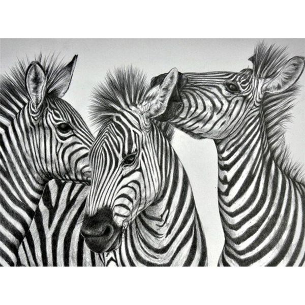 paintings gatyztory painting by number zebra animal drawing on canvas diy pictures numbers kits handpainted art home decor
paintings gatyztory painting by number zebra animal drawing on canvas diy pictures numbers kits handpainted art home decor