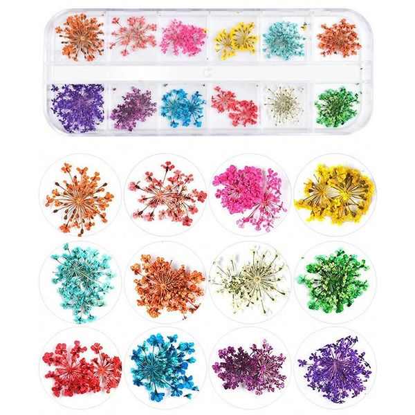 decorative flowers & wreaths 1 box real dried flower dry plants for epoxy resin pendant necklace jewelry making craft diy accessories
decorative flowers & wreaths 1 box real dried flower dry plants for epoxy resin pendant necklace jewelry making craft diy accessories