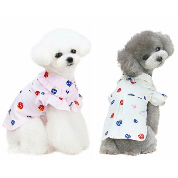 pet dog summer thin t-shirt puppy cat pullover breathable fruit clothes cute comfortable two-legged apparel
pet dog summer thin t-shirt puppy cat pullover breathable fruit clothes cute comfortable two-legged apparel