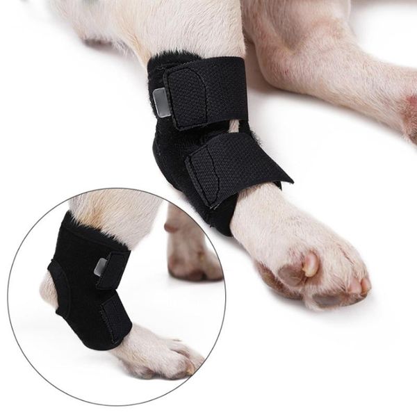 dog apparel original pet knee pads support brace for right left leg hock joint wrap breathable injury recover legs protector
dog apparel original pet knee pads support brace for right left leg hock joint wrap breathable injury recover legs protector