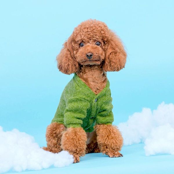 dog apparel clothes cute colors sweaters coats winter small chihuahua teddy costume classic ropa perro invierno pet camisola 70c0111
dog apparel clothes cute colors sweaters coats winter small chihuahua teddy costume classic ropa perro invierno pet camisola 70c0111
