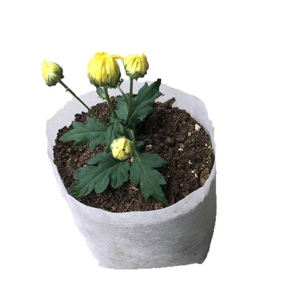 planters & pots nursery growth bag environmental protection degradable non-woven fabric cultivation garden flowers seedling tree pot g337
planters & pots nursery growth bag environmental protection degradable non-woven fabric cultivation garden flowers seedling tree pot g337