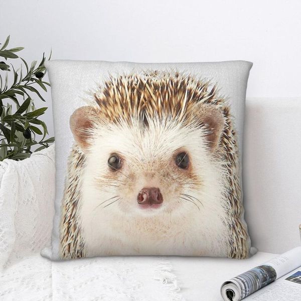 cushion/decorative pillow hedgehog throw case cushion for home sofa chair decorative hug pillowcase
cushion/decorative pillow hedgehog throw case cushion for home sofa chair decorative hug pillowcase
