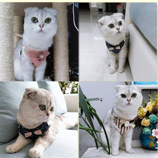 cat rope chain anti-break chest strap leash pet supplies products for collar bell collars & leads
cat rope chain anti-break chest strap leash pet supplies products for collar bell collars & leads