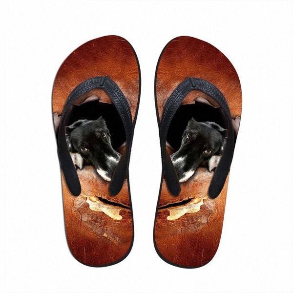 customized 2019 fashion women summer rubber flip flops cuet animal pet dog printed womens flip flops female slippers shoes ankle boots for w, Black
customized 2019 fashion women summer rubber flip flops cuet animal pet dog printed womens flip flops female slippers shoes ankle boots for w, Black