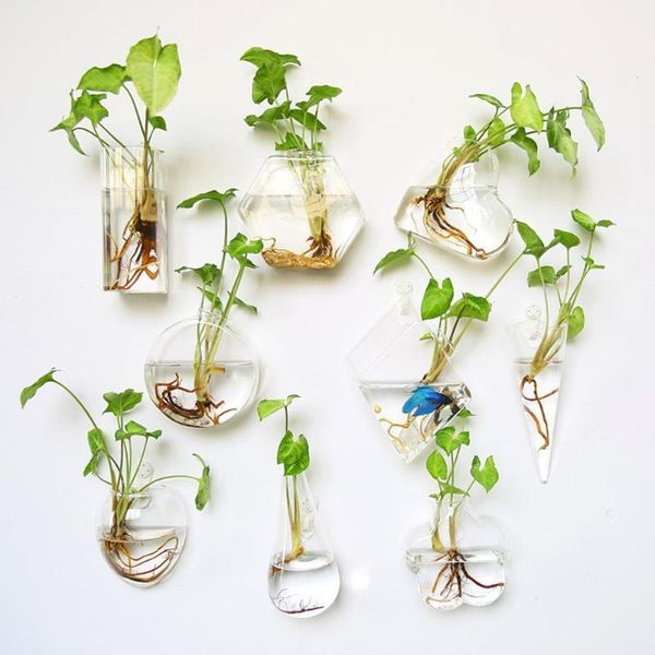 decorations wall hanging glass vase terrarium hydroponic plant vases fish tank aquarium container flower planter pots home garden decor
decorations wall hanging glass vase terrarium hydroponic plant vases fish tank aquarium container flower planter pots home garden decor