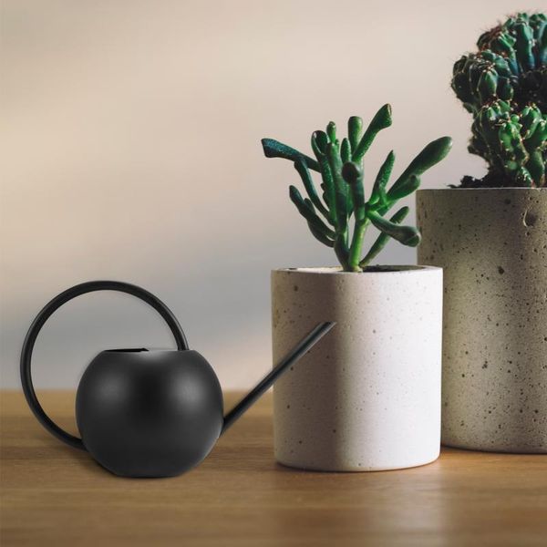 watering equipments portable spherical pot stainless steel can ergonomic design 400ml /1000ml
watering equipments portable spherical pot stainless steel can ergonomic design 400ml /1000ml