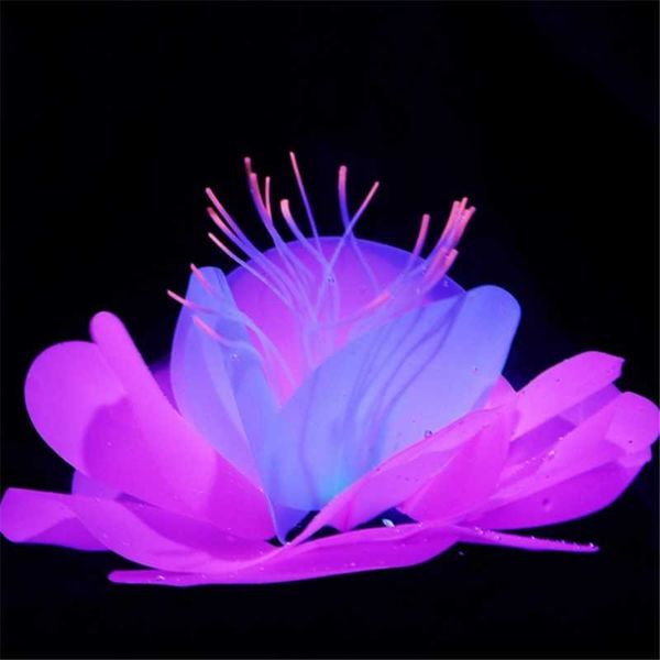 decorations hongyi aquatic plant fluorescent flower fish tank decoration aquarium colorful ornament water lily blooming lotus
decorations hongyi aquatic plant fluorescent flower fish tank decoration aquarium colorful ornament water lily blooming lotus