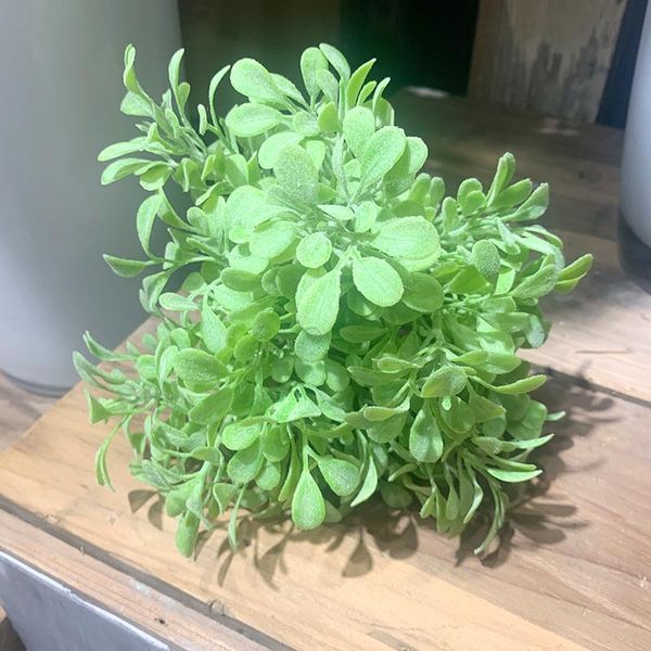 decorative flowers & wreaths artificial plastic flower bouquet, green leaves, fake plants, grass houses, bonsai single bundle for wedding de
decorative flowers & wreaths artificial plastic flower bouquet, green leaves, fake plants, grass houses, bonsai single bundle for wedding de