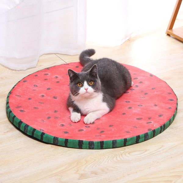 cat beds & furniture summer cooling breathable bed watermelon cute soft sponge sleeping mat for puppy small dogs pet accessories
cat beds & furniture summer cooling breathable bed watermelon cute soft sponge sleeping mat for puppy small dogs pet accessories