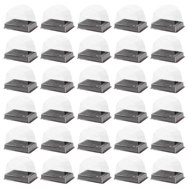 pcs transparent cake blister box pastries bake packaging with lid gift wrap
pcs transparent cake blister box pastries bake packaging with lid gift wrap