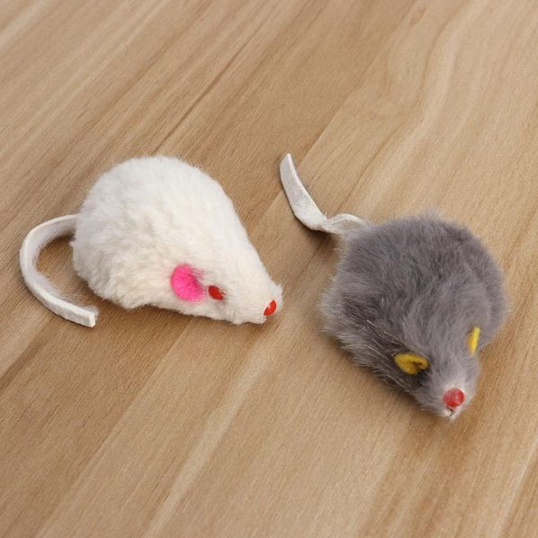 cat toys 2pcs false mice interactive mini funny plush for pet cats kitty kitten (random color)
cat toys 2pcs false mice interactive mini funny plush for pet cats kitty kitten (random color)