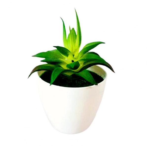 decorative flowers & wreaths lovely artificial plants with pot simulation succulents mini bonsai potted placed green fake table garden decor
decorative flowers & wreaths lovely artificial plants with pot simulation succulents mini bonsai potted placed green fake table garden decor
